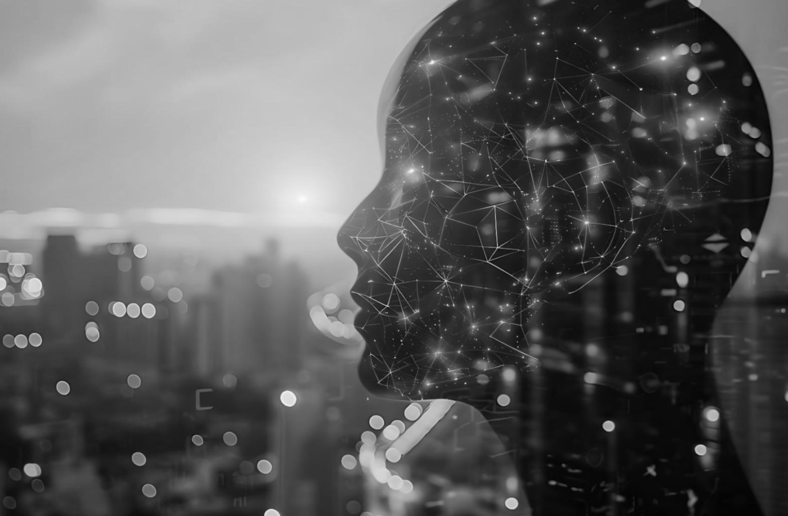 Interfaz de plataforma accesible con opciones de personalización